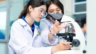女性科学者の国への貢献を支援する政策提案