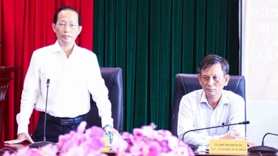 Vice Chairman of the Provincial People's Committee - Nguyen Truc Son works with the Department of Justice