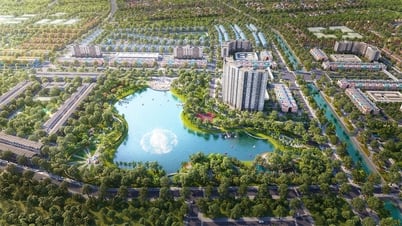 L'Avenue de la Lumière arrive bientôt - Un nouveau symbole dans la capitale de la province de Thanh Hoa