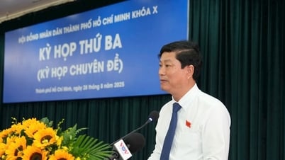 TP Hồ Chí Minh: Cho vay tới 300 triệu đồng/người đối với cán bộ ảnh hưởng sau sáp nhập