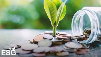 La implementación de ESG ayuda a las empresas a acceder a capital a bajo costo