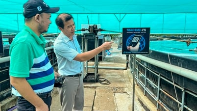 Nông nghiệp số kiến tạo không gian phát triển bền vững