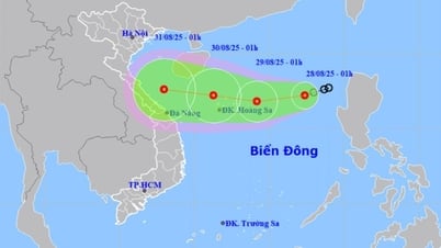 Tin mới nhất về áp thấp nhiệt đới và dự báo thời tiết Hà Nội 10 ngày tới