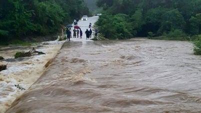 AVERTISSEMENT : Crues soudaines, glissements de terrain, affaissements de terrain dus aux fortes pluies à Nghe An