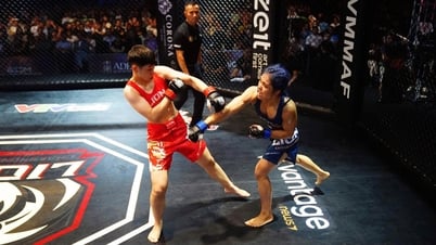 Tại sao MMA lại hấp dẫn?