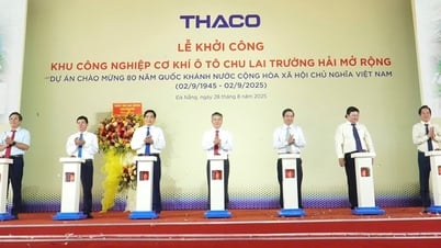 Truong Hai Group starts construction of 8,000 billion VND project in Nui Thanh