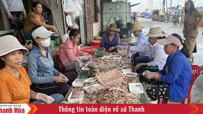 Vạn Lộc phát triển dịch vụ hậu cần nghề cá