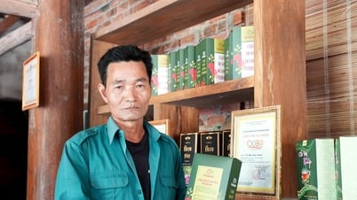 송방 땅의 장미차의 풍미
