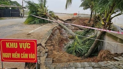 ハイティエンの海岸堤防が5号嵐で破壊される