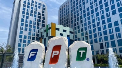 Portfoliostruktur Q3/2025: Zwei ausländische ETFs können stark in FPT investieren