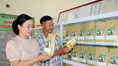 多くの利点がOCOPゲアンの発展の推進力となる