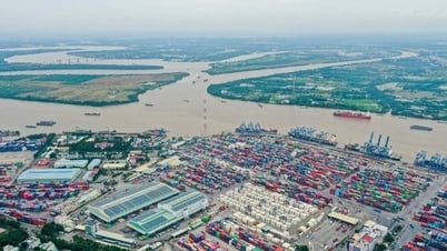 Kinh tế tư nhân: Khơi dậy sức sáng tạo của vùng kinh tế năng động