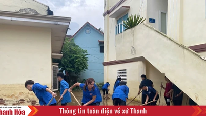 Die Jugend von Thanh Hoa hilft gemeinsam, die Folgen des Sturms zu überwinden