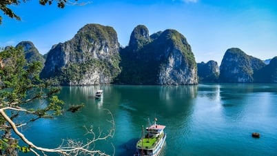 Nouvelles découvertes dans la baie d'Ha Long