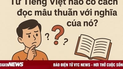 Which Vietnamese word has a pronunciation that contradicts its meaning?