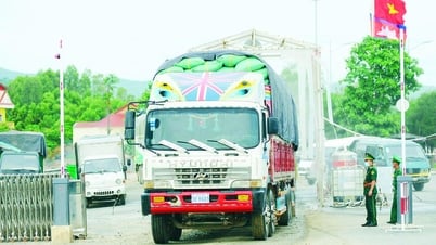 Exploiting the advantages of border economic development