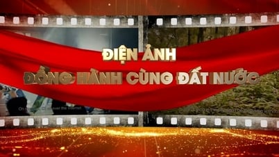 Trình chiếu miễn phí 50 tác phẩm Điện ảnh Việt Nam