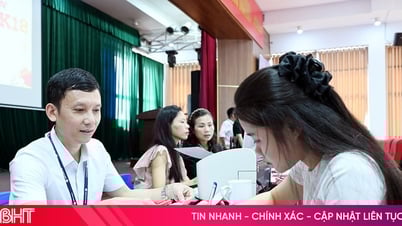 Ha Tinh University organisiert erste Zulassung für fast 400 Studenten