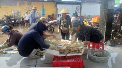 Объем перевалки морепродуктов через порт Нгокхай превысил 2932 тонны.