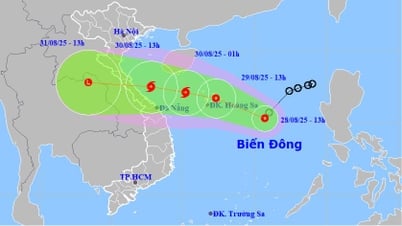 Tropisches Tiefdruckgebiet verstärkt sich wahrscheinlich zu einem Sturm und bewegt sich in Richtung der Region North Central
