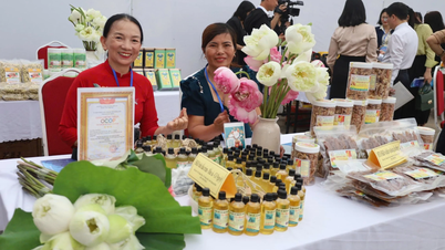 Hướng đến mục tiêu kết nối giao thương hiện đại và toàn diện