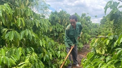 貧困からの脱出を支援する