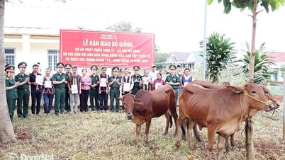 កងវរសេនាតូចលេខ ៧១៩ បានបរិច្ចាគគោចិញ្ចឹមដល់ ៣២ គ្រួសារដែលជួបការលំបាក។