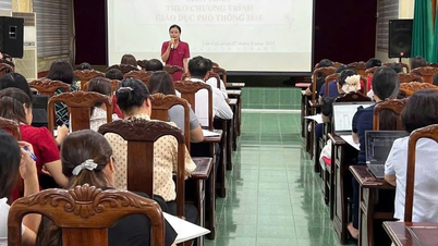 ผู้บริหารและครูโรงเรียนประถมศึกษา 184 คนได้รับการฝึกอบรมวิชาชีพในช่วงฤดูร้อนปี 2568