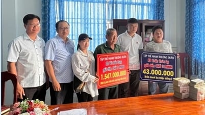 ドンタップで「インターネットで騒動を起こした」男に16億ドン近くの賠償金が支払われた。
