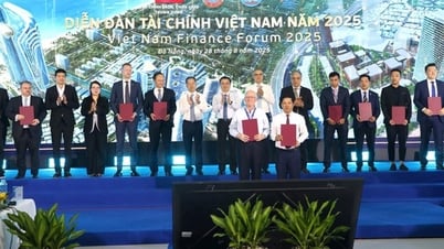 Positioning as an international financial center: Ho Chi Minh City is the 'liquidity locomotive', Da Nang is the 'extended arm'