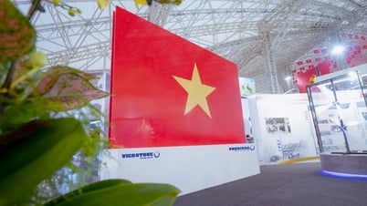 Admire the largest stone national flag of Vietnam at the National Achievements Exhibition