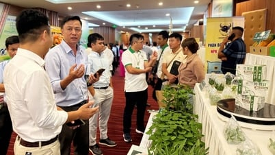 Bàn giải pháp phát triển chuỗi liên kết sản xuất, tiêu thụ chanh leo bền vững