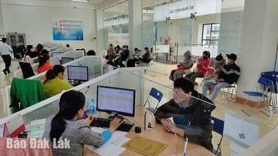 داك لاك: دفع أكثر من 229 مليار دونج كإعانات بطالة للعمال