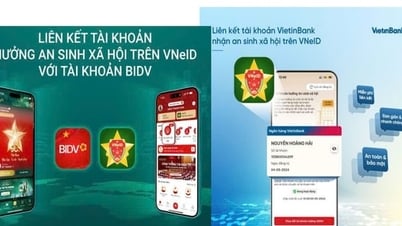 คำแนะนำสำหรับการเข้าสู่ระบบ VNeID เพื่อรับ 100,000 VND/ท่าน เพื่อฉลองวันประกาศอิสรภาพ