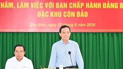 លេខាគណៈកម្មាធិការបក្សទីក្រុងហូជីមិញ លោក Tran Luu Quang៖ អភិវឌ្ឍន៍ Con Dao ទៅជាកោះបៃតង និងឆ្លាតវៃ ផ្សារភ្ជាប់ជាមួយនឹងការអភិរក្ស