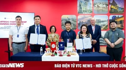 Ivy Global School y la Universidad Webster de Tashkent crean conjuntamente oportunidades de aprendizaje con estándares estadounidenses
