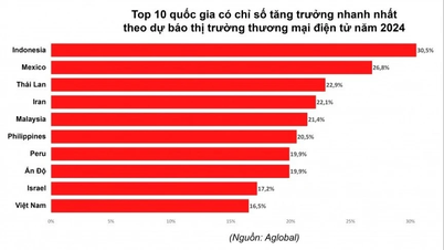 Thương mại điện tử Việt Nam lọt Top 10 tăng trưởng nhanh nhất thế giới