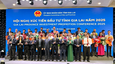 Gia Lai es un destino estratégico para los inversores.