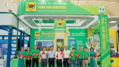 شركة Binh Dien Fertilizer تؤكد على علامتها التجارية الوطنية برؤية "التخضير - الرقمنة" في معرض 80 عامًا من الإنجازات الوطنية