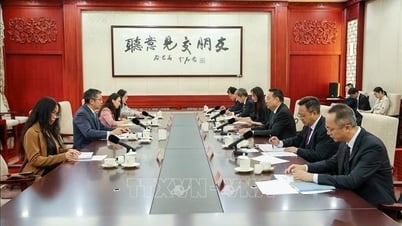 Promover la cooperación entre los canales del Partido y contribuir a la profundización de las relaciones entre Vietnam y China.
