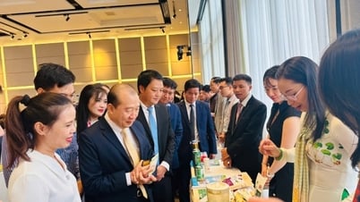 Việt Nam - Campuchia đề xuất loạt giải pháp xúc tiến thương mại