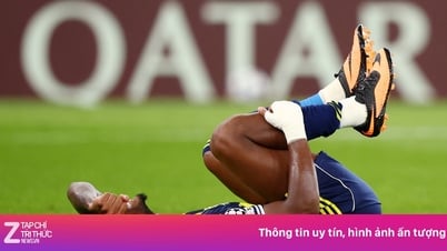터키 축구에 재앙적인 한 주