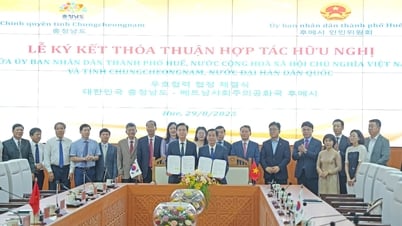 Die Stadt Hue und die Provinz Chungcheongnam (Südkorea) fördern eine umfassende Zusammenarbeit