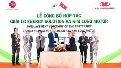 Kooperation zum Bau einer modernen Batteriefabrik in Vietnam