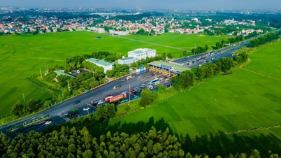 Эксперты отвечают на вопросы о смене транспортных счетов