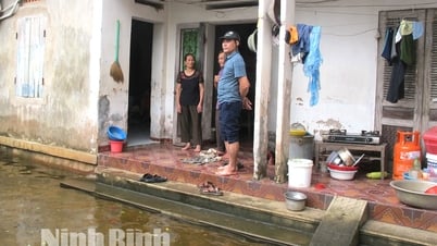 Assurer une vie stable aux habitants de la zone inondable de Quang Am