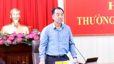 Der Vorsitzende des Volkskomitees der Provinz, Lu Quang Ngoi, leitete die reguläre Sitzung im August.