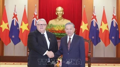 Generalsekretär To Lam empfängt den neuseeländischen Parlamentspräsidenten Gerry Brownlee