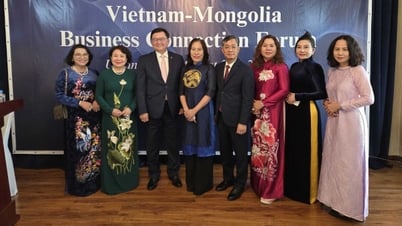 Vietnam-Mongolia Business Connection Forum 2025