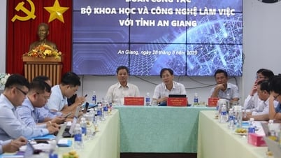 El Ministerio de Ciencia y Tecnología realiza un estudio práctico en An Giang, eliminando obstáculos en el funcionamiento del gobierno local de dos niveles.